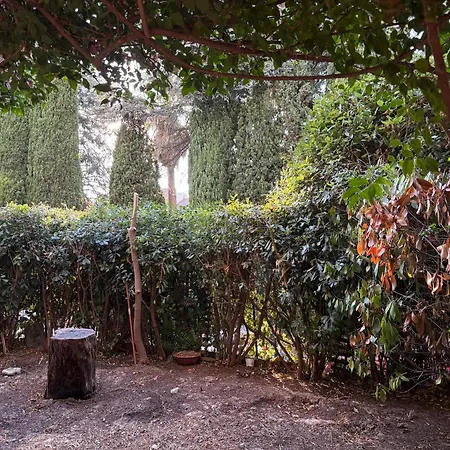 Apartman Cimiez Garden Nizza
